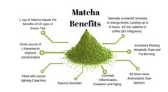 Karma Kitchen Japanese Barista-Style Blueberry Matcha Latte w/ Whole Oat Milk