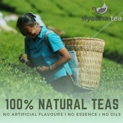 2025 Assam Black Tea Fresh Orthodox SFTGFOP1 Majulighur First Flush Blend 1 KG