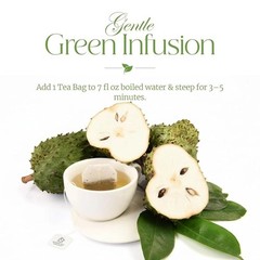 100 PACK Soursop Leaves Tea Bags Herbal Guanabana Graviola Annona Muricata, NEW!