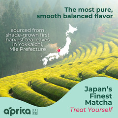 1st Harvest Ceremonial Grade Matcha Green Tea Powder, made in Japan, 100% pure