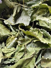 Mulberry Leaf TEA Organic Herbal Loose Dry LEAF 4 Oz
