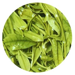 1000g Premium Anji Baicha Baipian White Slice Tea Spring Chinese GREEN TEA
