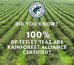 Tetley British Blend Premium Black Tea, Regular, 80 Teabags (Pack of 1)
