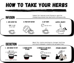 LIVER TEA – effective liver-detoxing blend; lowers blood fat; clears gallstones
