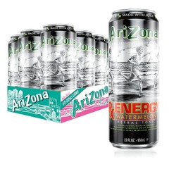 Green Tea with Cucumber and Citrus – Big Can, 22 Fl Oz (Pack of 12)