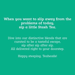 Stash Tea Moroccan Mint Green Tea, Box of 100 Tea Bags (Packaging May Vary)