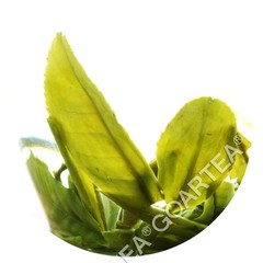 1000g Nonpareil Supreme Suzhou Biluochun Green Tea Spring Chinese Pi lo Chun