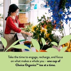 Choice Organics Mint Sage Tea 16 Count Caffeine Free Organic Herbal Tea Bags