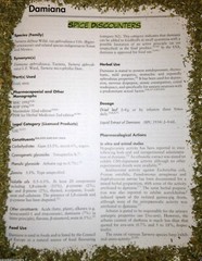 DAMIANA herb tea bulk leaf c/s cut organic tea brew wild crafted WHOLESALE