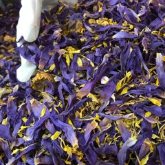 Ceylon Egyptian Cut Blue Lotus Nymphaea Caerulea Hand Picked Herbal Organic Tea